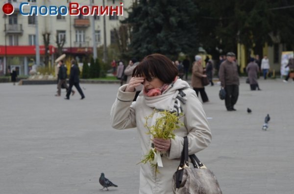 Вербна неділя в Луцьку. ФОТО