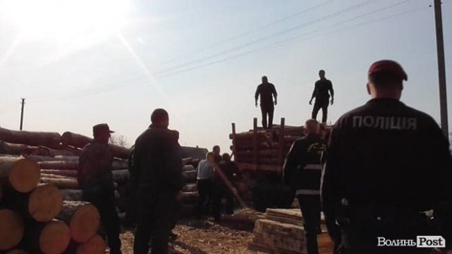 На Волині обшукали підпільні пилорами. ФОТО