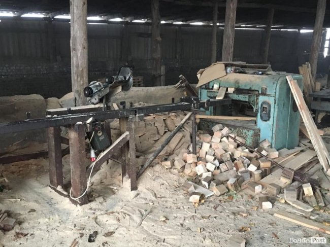 На Волині обшукали підпільні пилорами. ФОТО