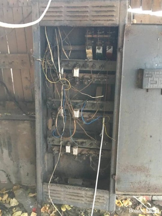 На Волині обшукали підпільні пилорами. ФОТО