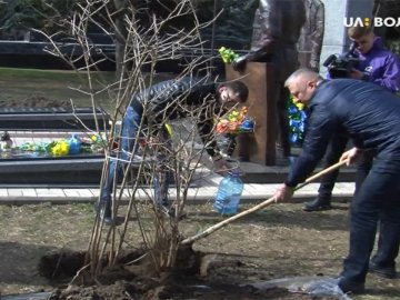 На могилі Героя Небесної Сотні Василя Мойсея висадили калину. ВІДЕО
