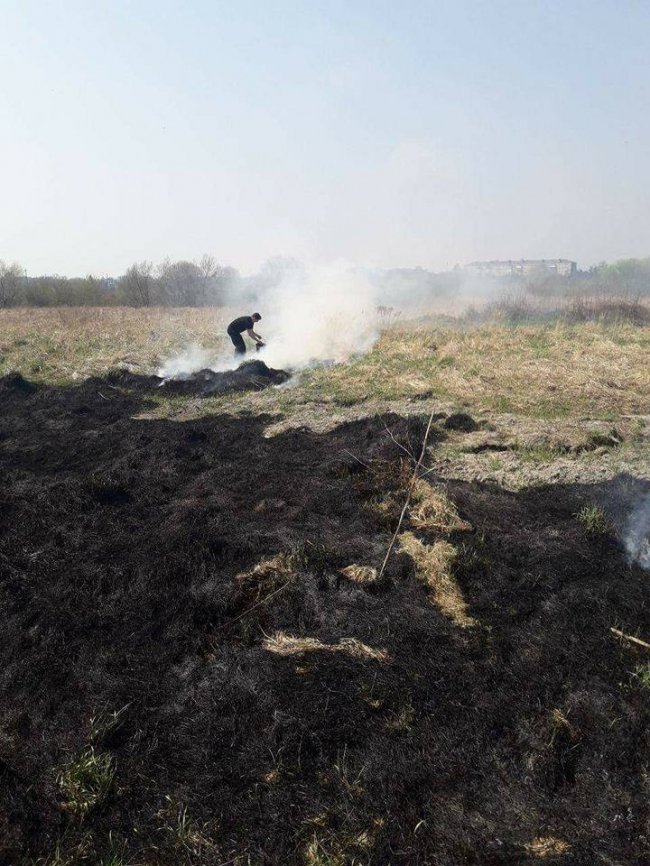 На березі Стиру горіла суха трава. ФОТО