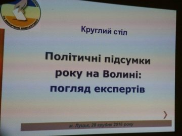 Динамічний Гузь та «контролер» Романюк: політичні підсумки року на Волині