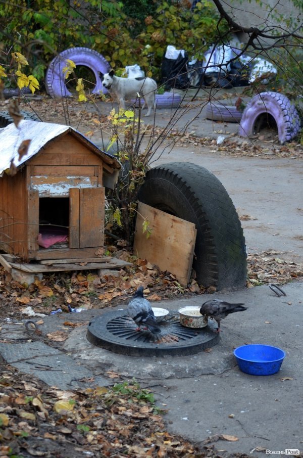 Фотопогляд: проспект Перемоги