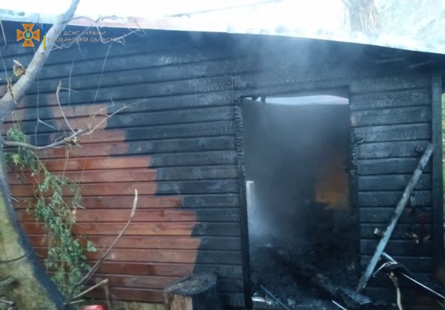 У луцькому зоопарку сталась пожежа: загинули три мавпи 