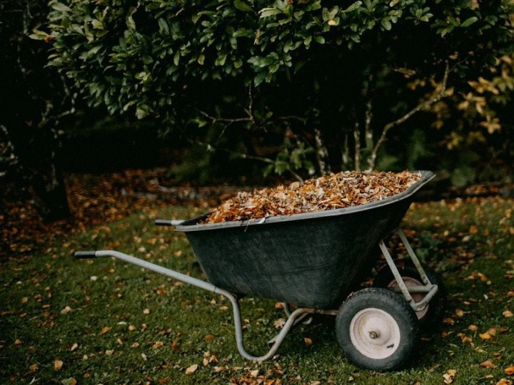 Місячний посівний календар на жовтень 2025 року: чи варто ще щось сіяти, що і коли робити в саду та на городі