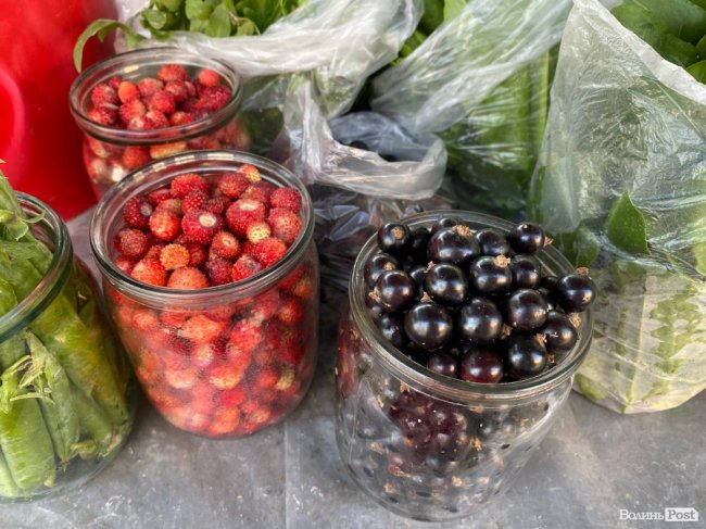 На луцькому ринку з'явилися перші лісові ягоди: почім продають