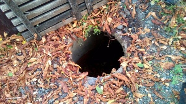 У Луцьку дівчинка впала в технічний люк. ФОТО