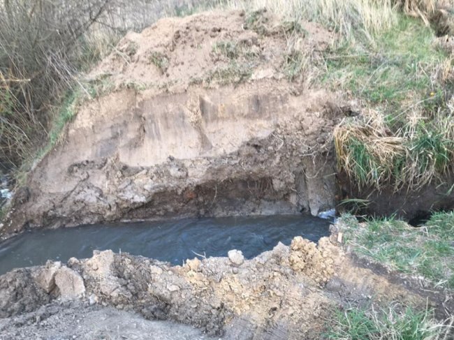 На території заказника під Луцьком спецтехніка зруйнувала гідроспоруду, яка регулювала рівень води. ФОТО