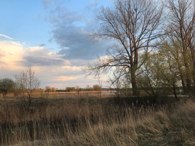 На території заказника під Луцьком спецтехніка зруйнувала гідроспоруду, яка регулювала рівень води. ФОТО