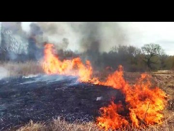 За минулий тиждень на Волині рятувальники приборкали 25 пожеж 