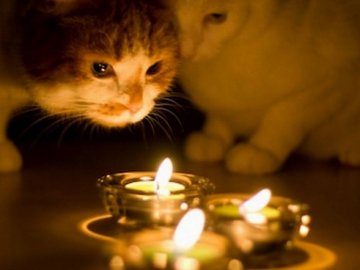 Де у Луцьку не буде світла 17 вересня