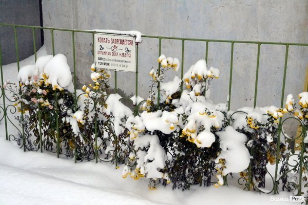 Фото снігового ранку в Луцьку