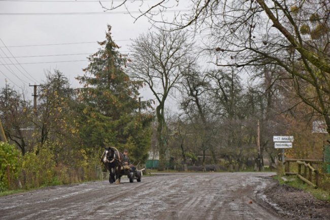 Відомий блогер з Польщі відвідав Шацькі озера. ФОТО