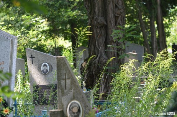 На кладовищі Луцька повалені пам'ятники, а могили заросли чагарниками. ФОТО