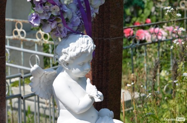 На кладовищі Луцька повалені пам'ятники, а могили заросли чагарниками. ФОТО