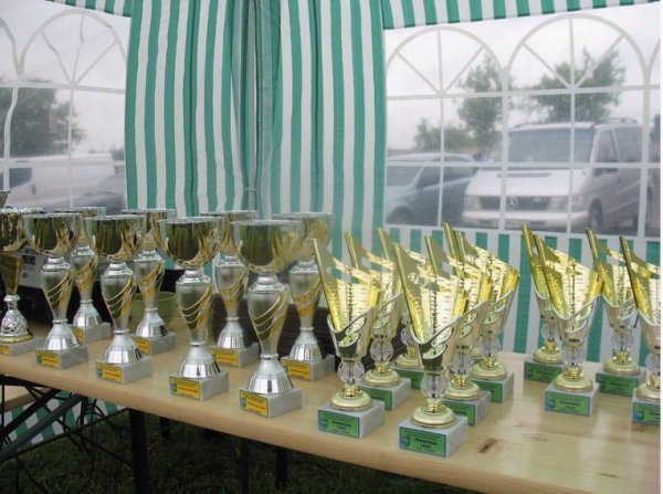 На Волині відбулася виставка мисливських собак. ФОТО