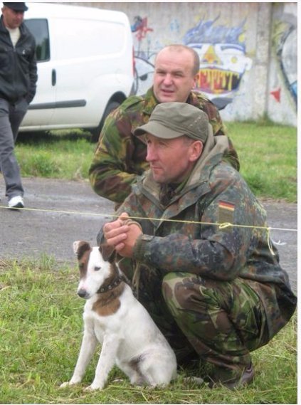 На Волині відбулася виставка мисливських собак. ФОТО