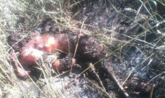 Під Луганськом знайшли обгорілі тіла чотирьох українських військових. ФОТО18+