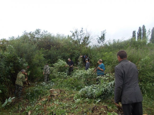 На Волині із занедбаного торф’яника роблять рекреаційний комплекс «Атошник». ФОТО, ВІДЕО 