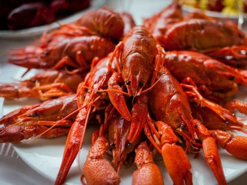 Понад місяць на Волині не можна ловити раків