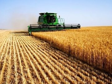 Ринок землі: Волинь – лідер серед західних областей за кількістю проданих гектарів