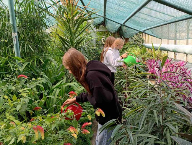 Екзотична теплиця школярів з Волині – найкраща в Україні. ФОТО