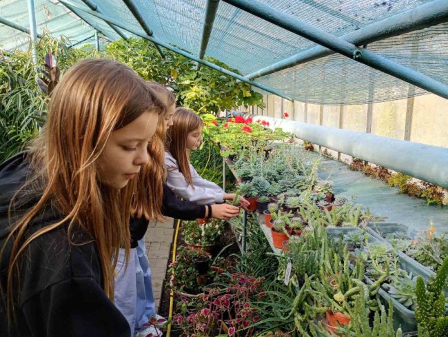 Екзотична теплиця школярів з Волині – найкраща в Україні. ФОТО