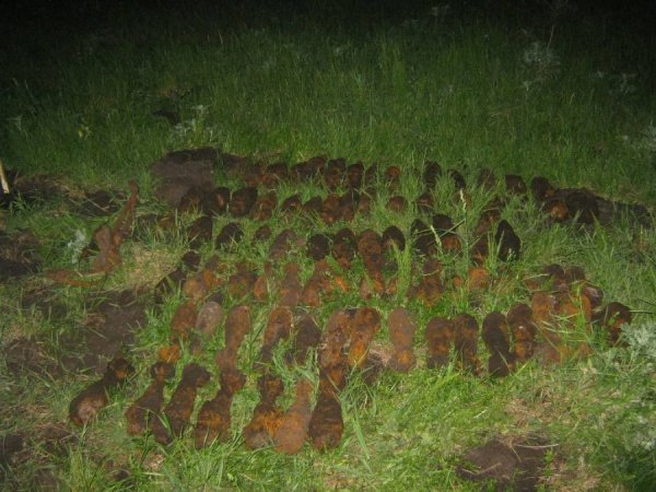 На Волині піротехніки знешкодили боєприпаси. ФОТО