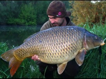 Яку рибу найдешевше розводити на Волині