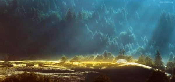 Чарівність карпатського літа крізь об'єктиви українських фотографів. ФОТО