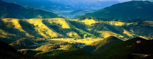 Чарівність карпатського літа крізь об'єктиви українських фотографів. ФОТО