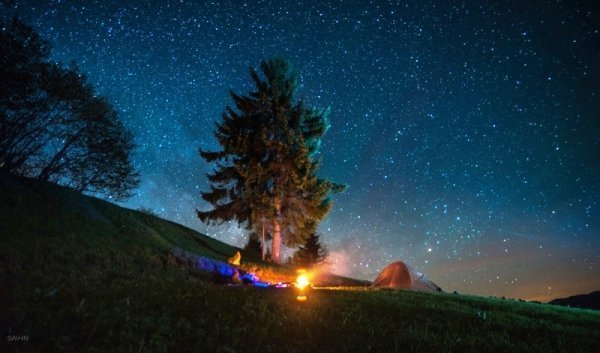 Чарівність карпатського літа крізь об'єктиви українських фотографів. ФОТО