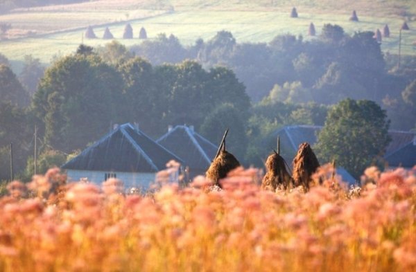 Чарівність карпатського літа крізь об'єктиви українських фотографів. ФОТО