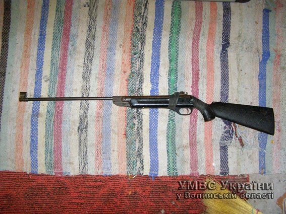 На Волині дівчинка вистрелила в свою сестру. ФОТО