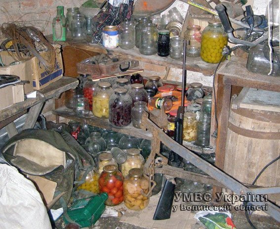 На Волині дівчинка вистрелила в свою сестру. ФОТО