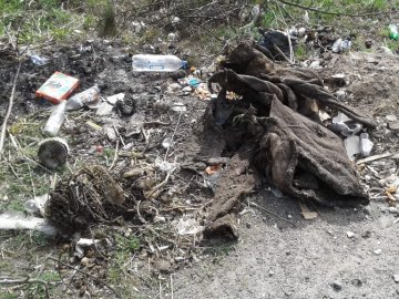 Волинянина оштрафували за викинуте на узбіччі дороги сміття 