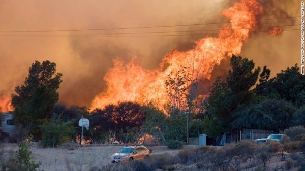 Горять 55 гектарів лісу Каліфорнії. ФОТО