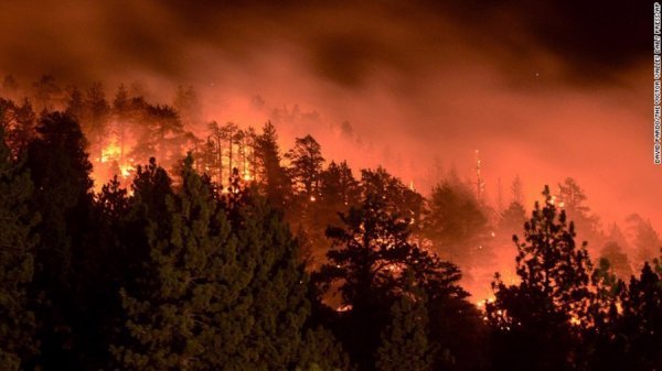 Горять 55 гектарів лісу Каліфорнії. ФОТО