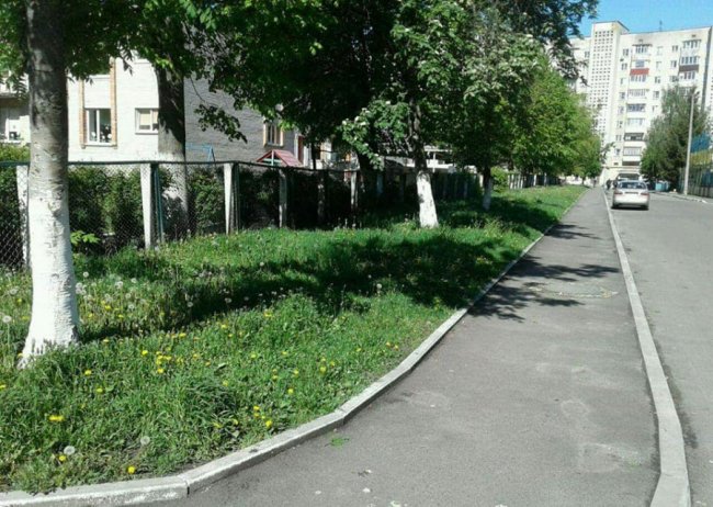 Луцькі муніципали нагадують підприємствам, щоб не забували скошувати траву на своїй території