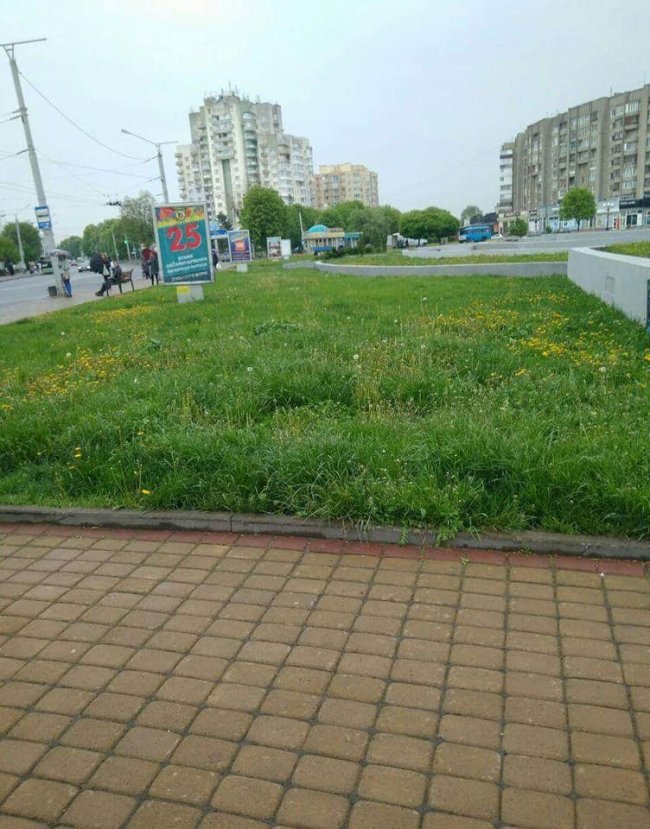 Луцькі муніципали нагадують підприємствам, щоб не забували скошувати траву на своїй території