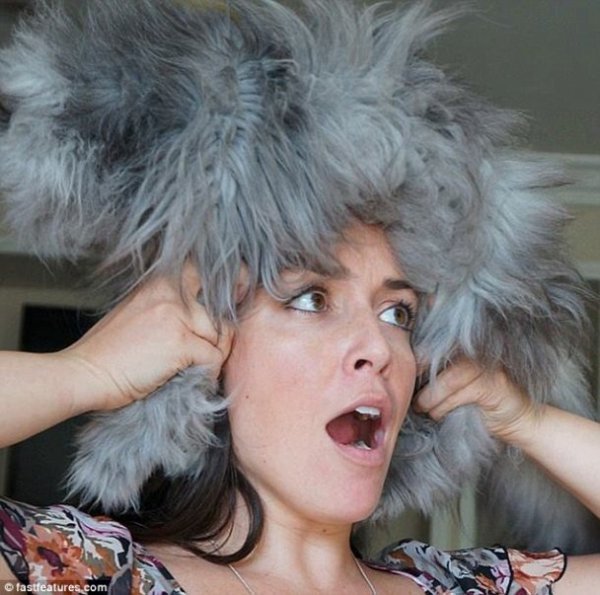 Нова інтернет-розвага: перуки з котів. ФОТО