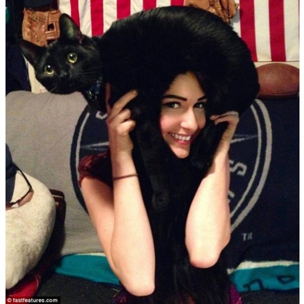 Нова інтернет-розвага: перуки з котів. ФОТО