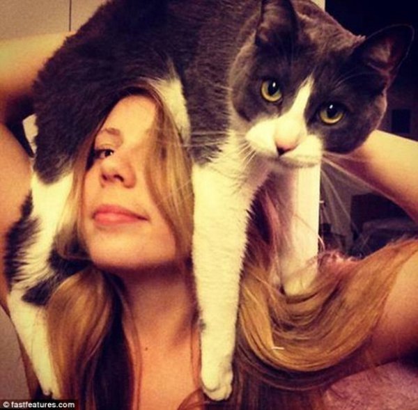 Нова інтернет-розвага: перуки з котів. ФОТО