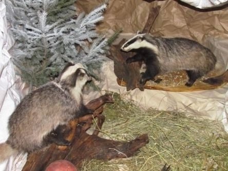 Найбільший в Україні вертеп. ФОТО. ВІДЕО