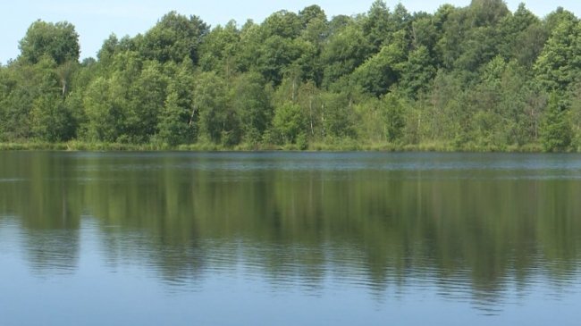 Байдарки, сафарі і веломандрівки: як розважають відпочивальників на Шацьких озерах. ВІДЕО