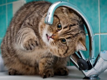 У волинському містечку на цілий день відключать воду