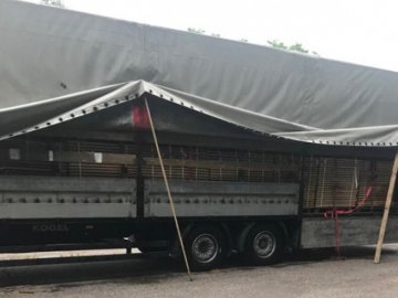 На «Ягодині» затримали водія фури, який перевозив до Польщі контрабандний ліс