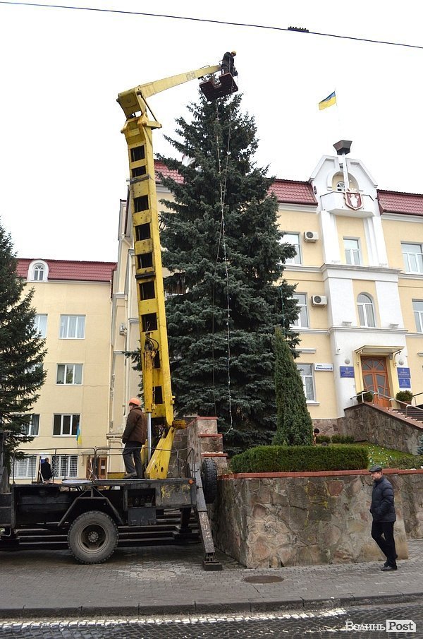 У Луцьку прикрасили ялинку біля міськради. ФОТО