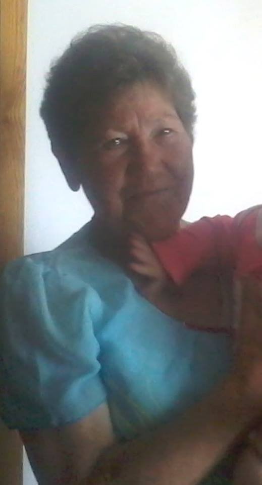 Пішла в ліс і зникла: на Волині два місяці не можуть знайти бабусю